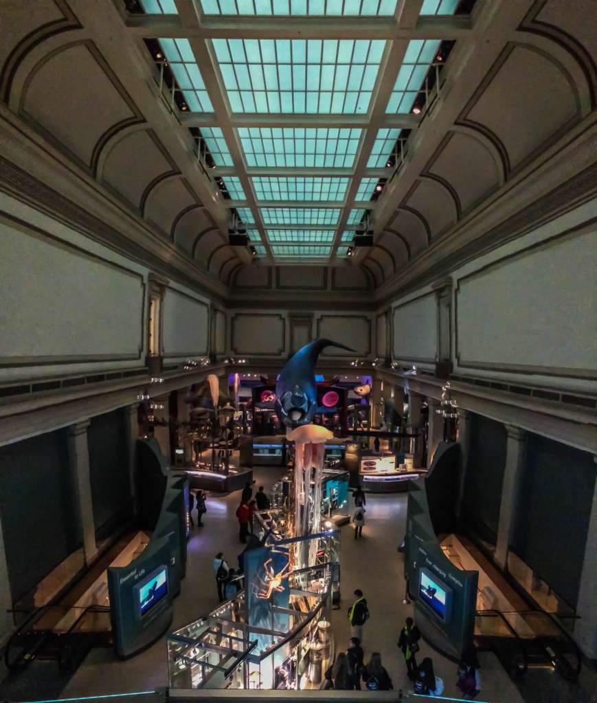 Washington DC museums