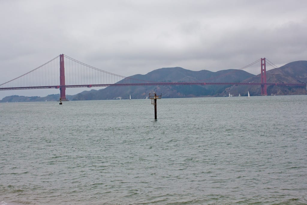 Exploring San Francisco: In Pictures