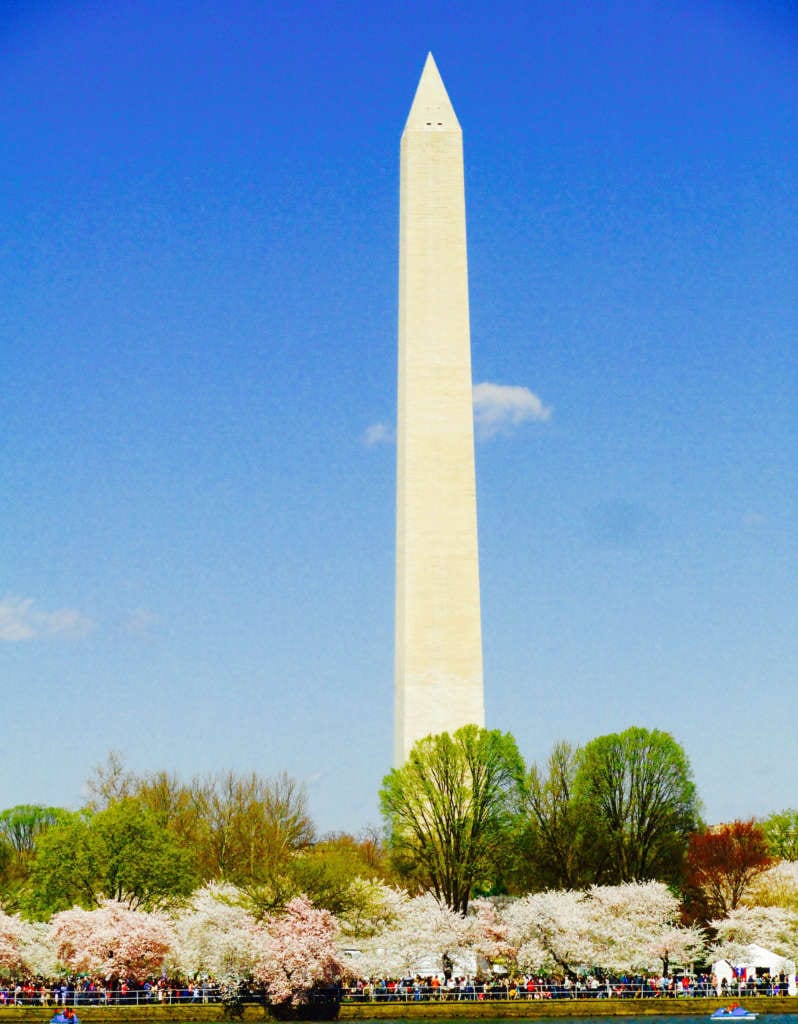 annual cherry blossom festival washington dc