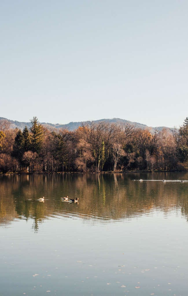 Sound of Music Tour in Salzburg