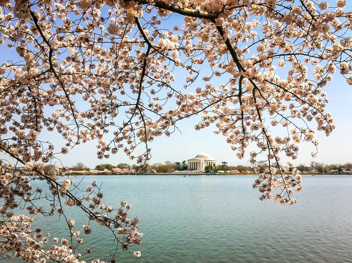 Offbeat DC Travel Guide: 45 Unique Things to do in Washington, DC