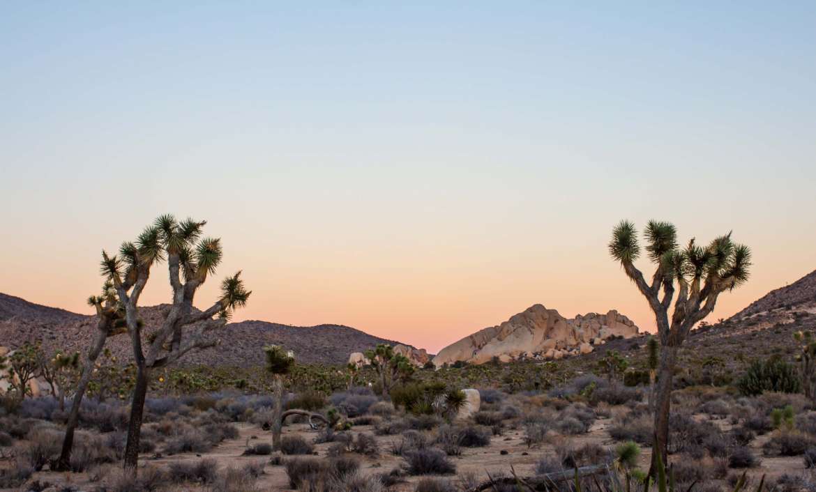 The Best Places to Stay Near Joshua Tree National Park